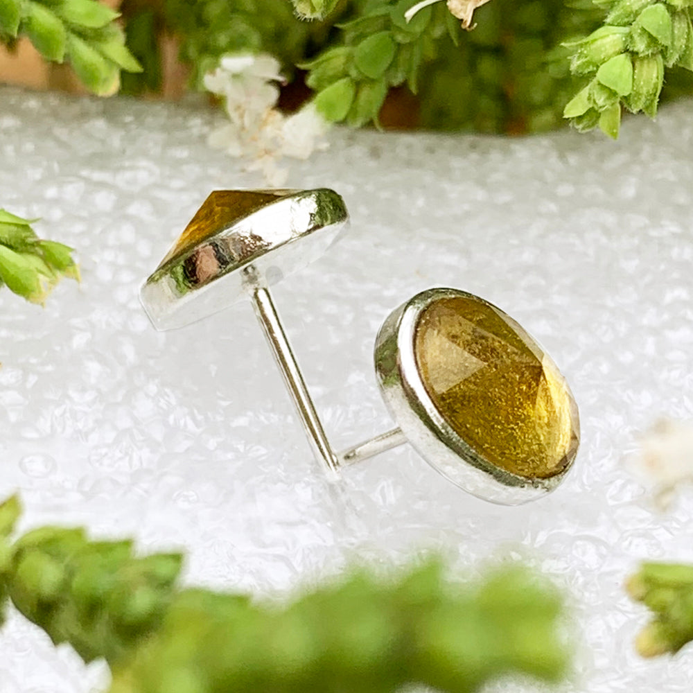 Polished Stud Earrings: Amber