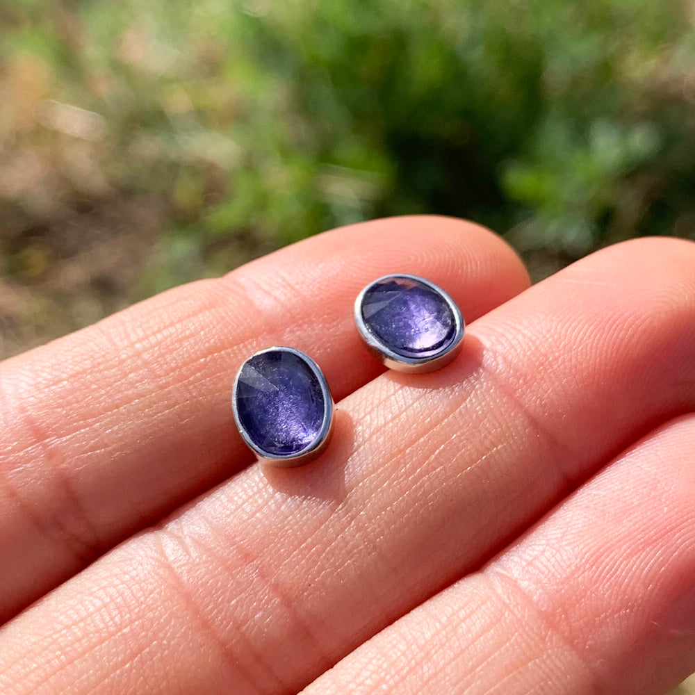 Polished Stud Earrings: Amethyst
