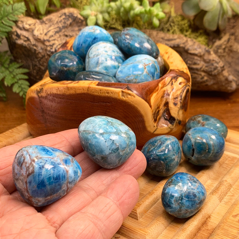 Tumbled Stone: Apatite (250 Gram Lot - 0.55lb)