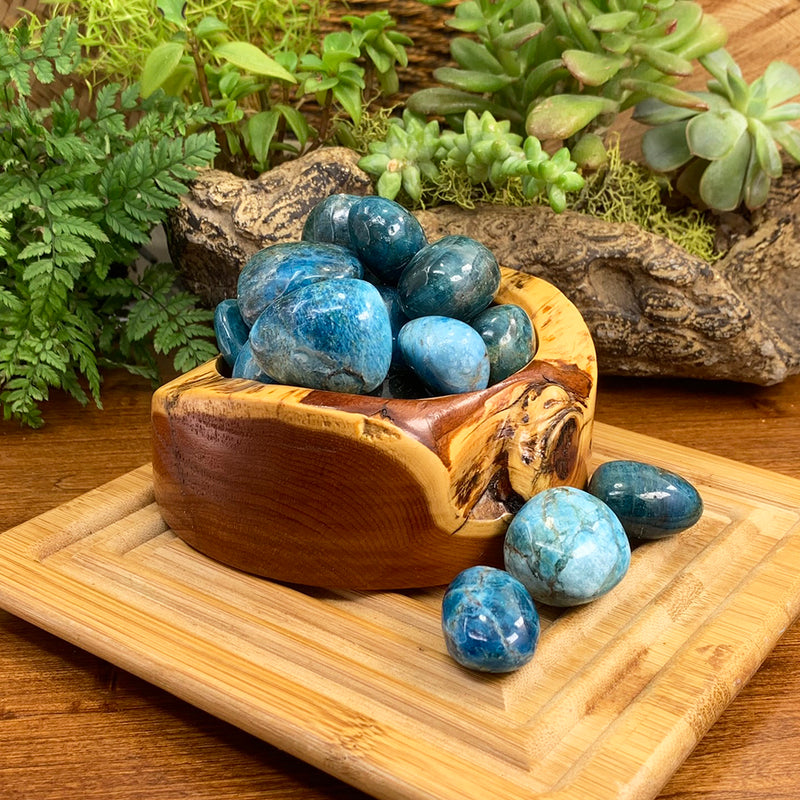 Tumbled Stone: Apatite (250 Gram Lot - 0.55lb)