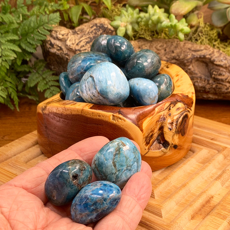 Tumbled Stone: Apatite (250 Gram Lot - 0.55lb)