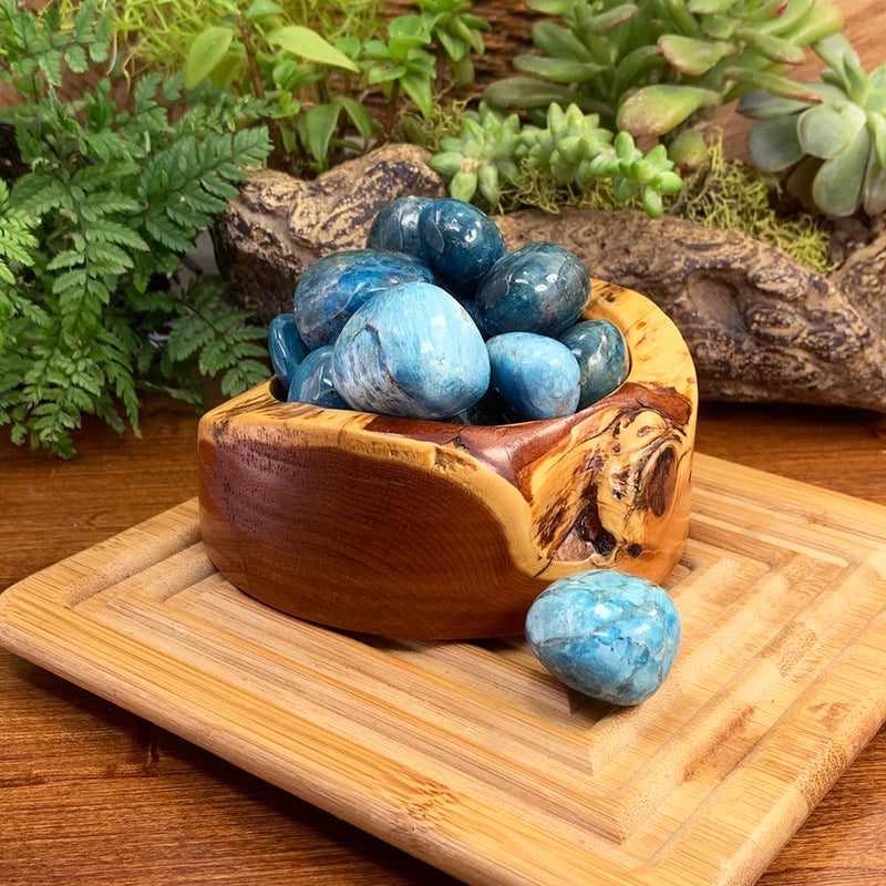 Tumbled Stone: Apatite (250 Gram Lot - 0.55lb)