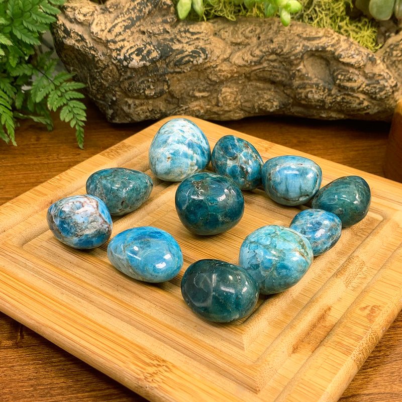 Tumbled Stone: Apatite (250 Gram Lot - 0.55lb)