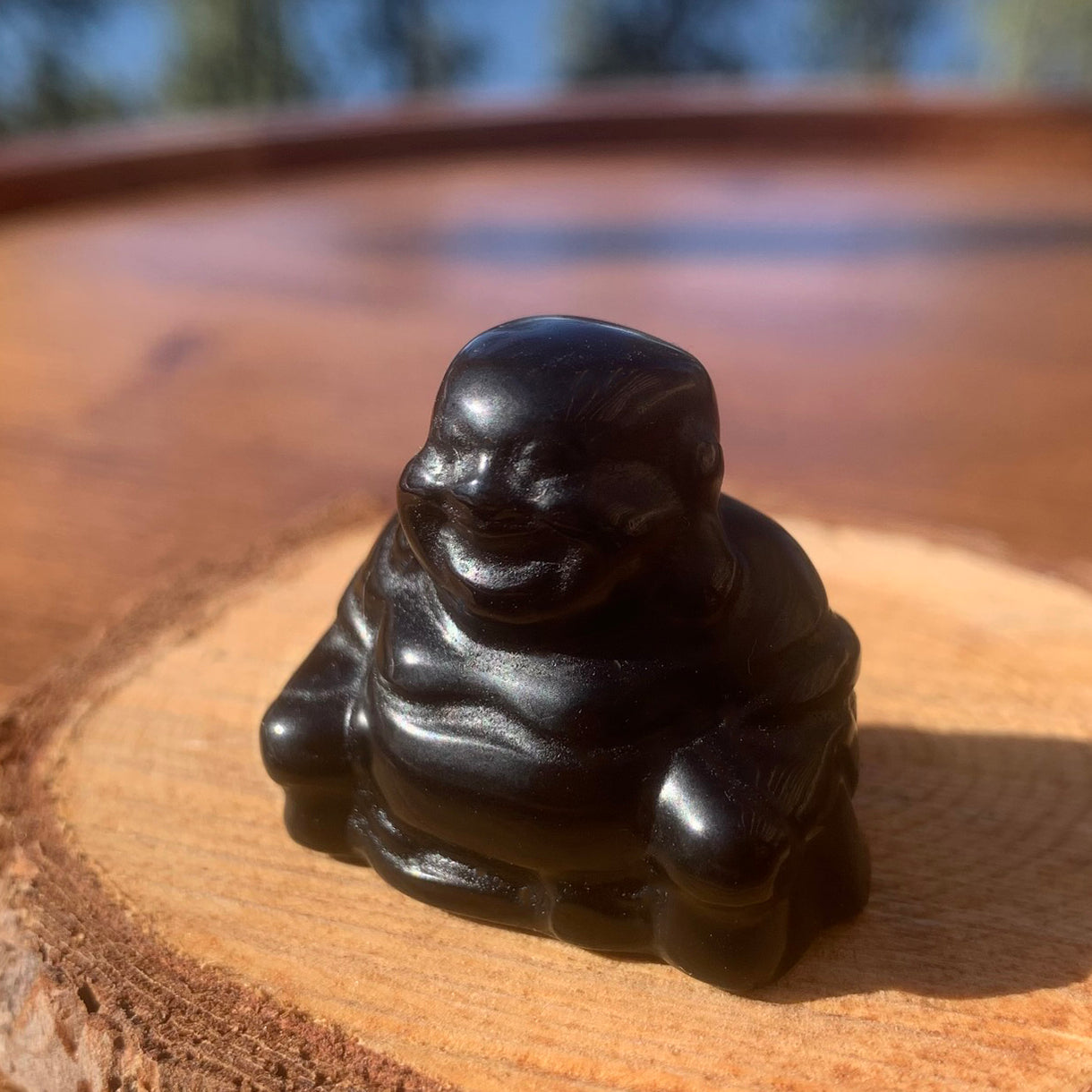Crystal Spirit Totems: Black Protection Agate Buddha