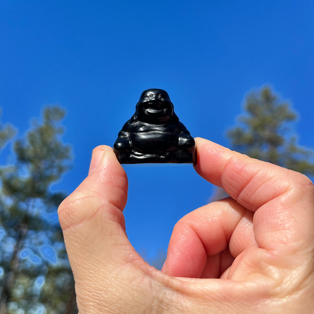 Crystal Spirit Totems: Black Protection Agate Buddha