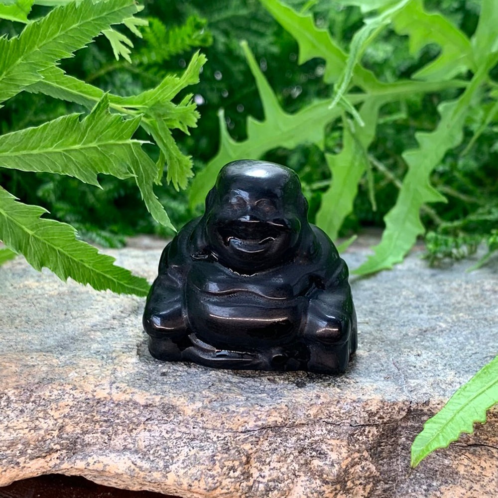 Crystal Spirit Totems: Black Protection Agate Buddha
