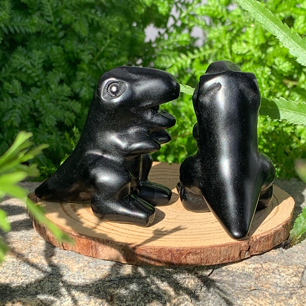 Crystal Animal Spirit Totems: Black Protection Agate T-Rex