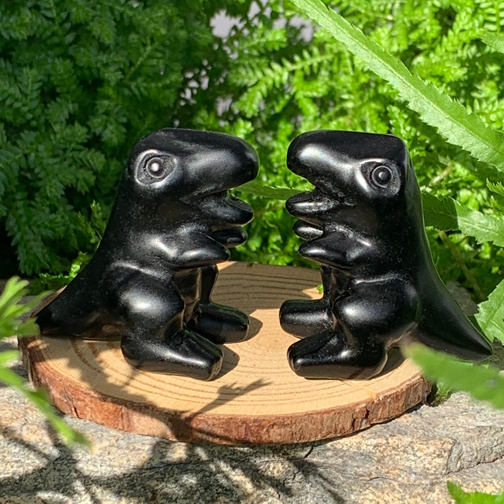 Crystal Animal Spirit Totems: Black Protection Agate T-Rex