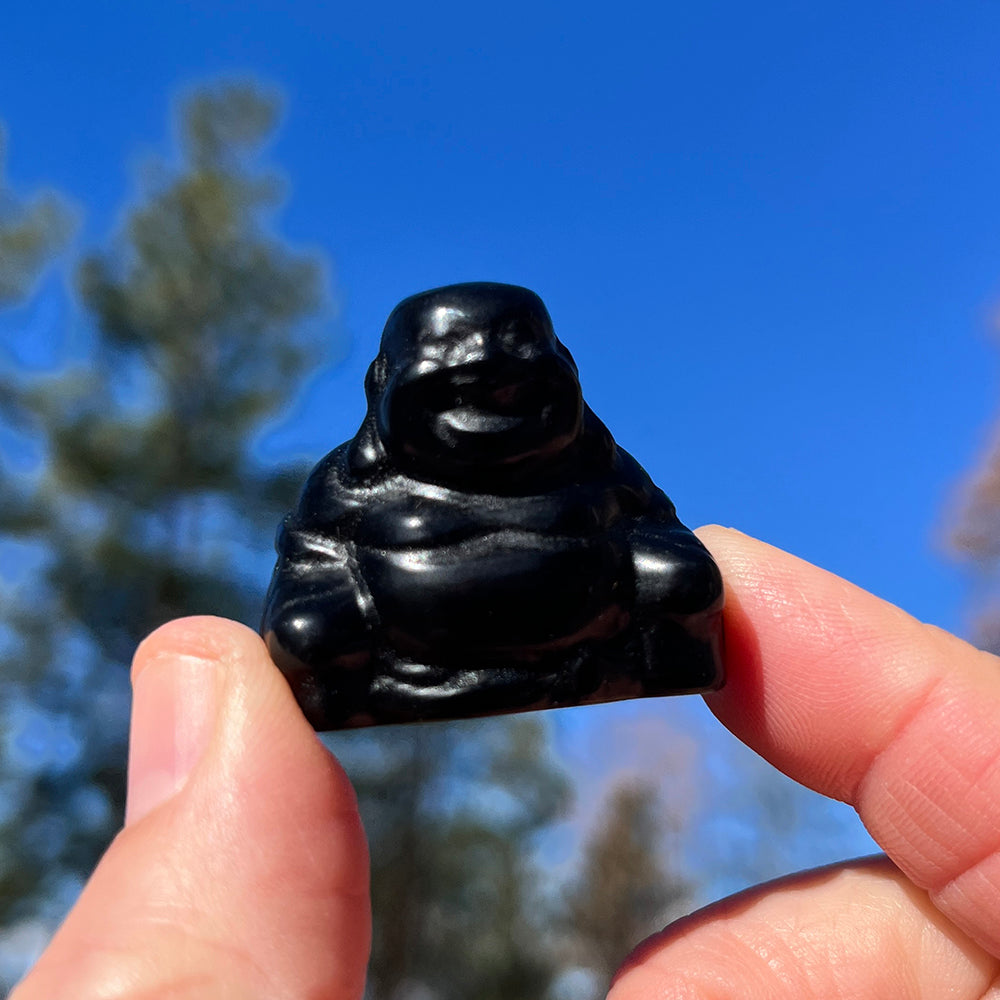 Crystal Spirit Totems: Black Protection Agate Buddha
