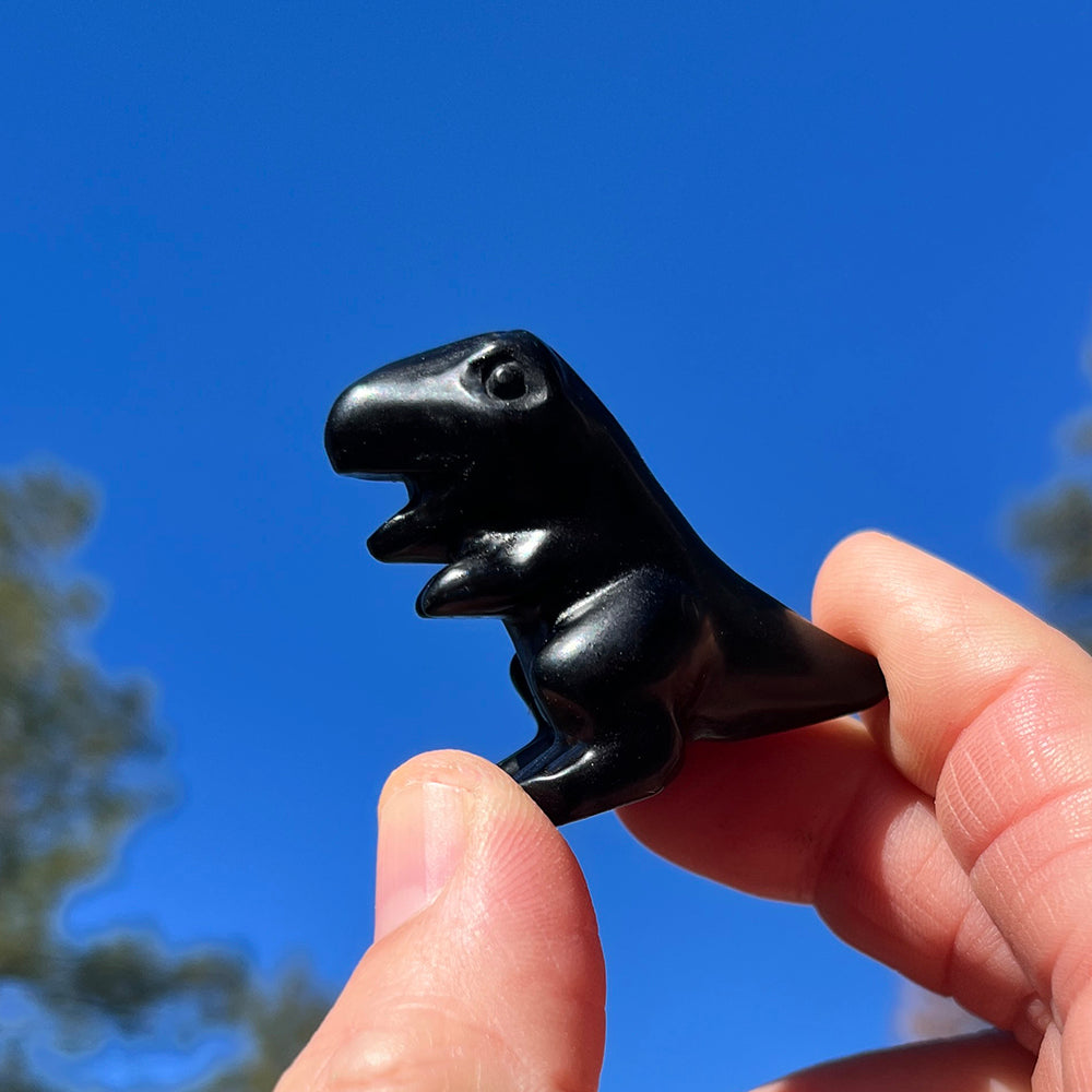 Crystal Animal Spirit Totems: Black Protection Agate T-Rex