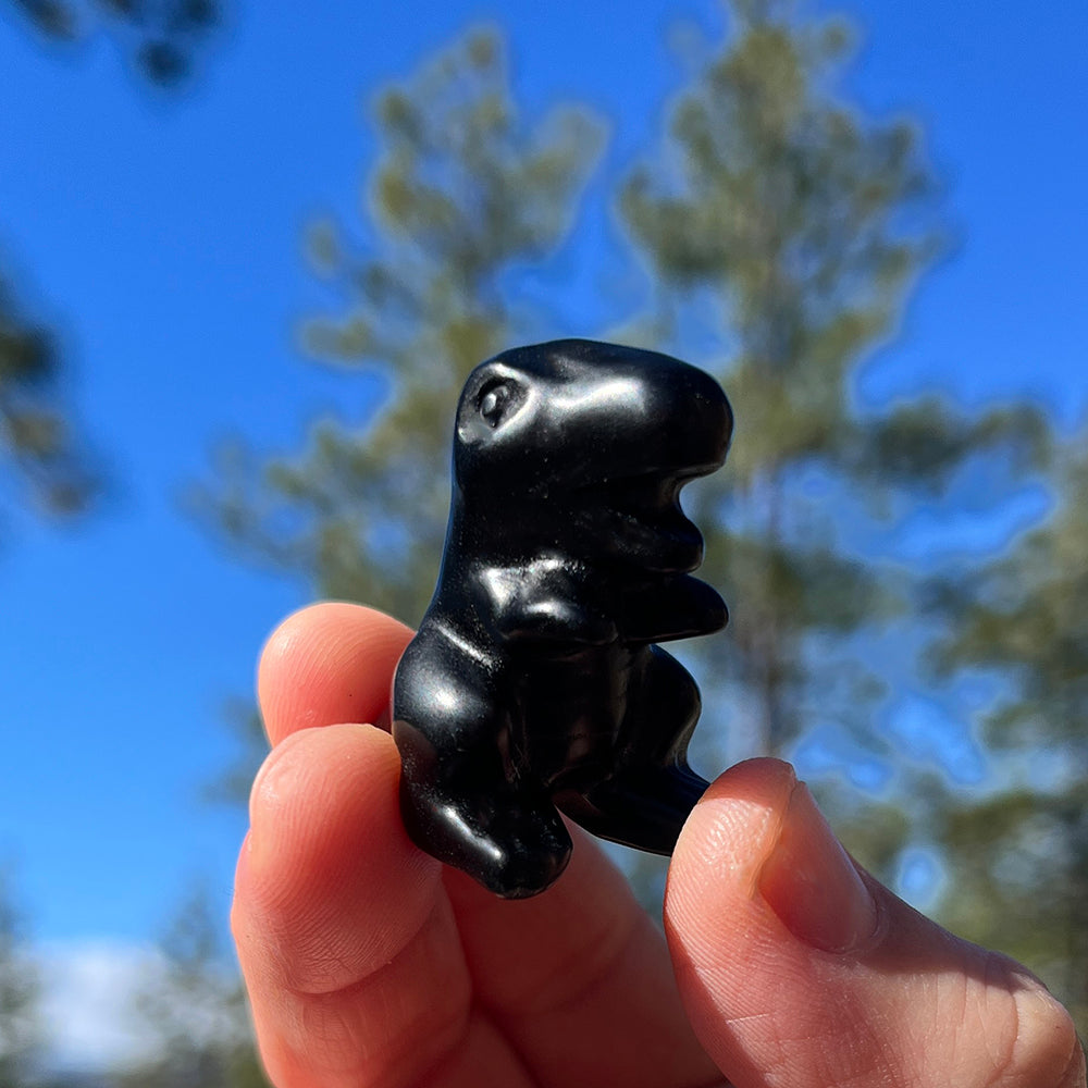 Crystal Animal Spirit Totems: Black Protection Agate T-Rex