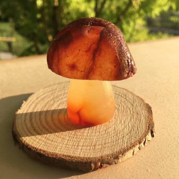Mushroom: Carnelian