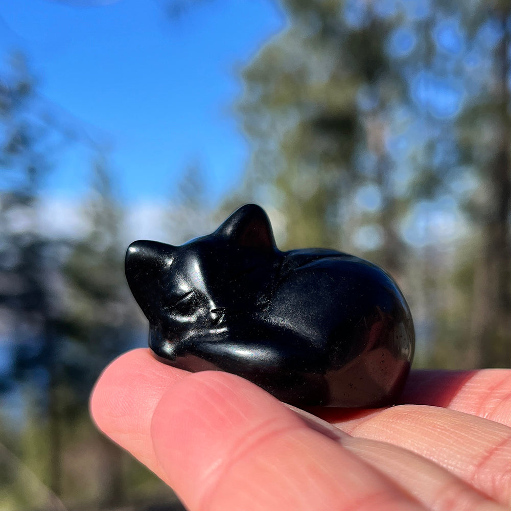 Crystal Animal Spirit Totems: Black Protection Agate Sleeping Cat