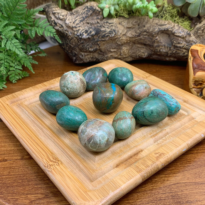 Tumbled Stone: Chrysocolla (250 Gram Lot - 0.55lb)
