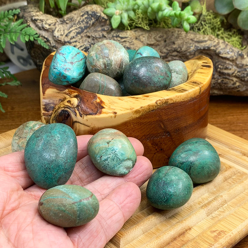 Tumbled Stone: Chrysocolla (250 Gram Lot - 0.55lb)