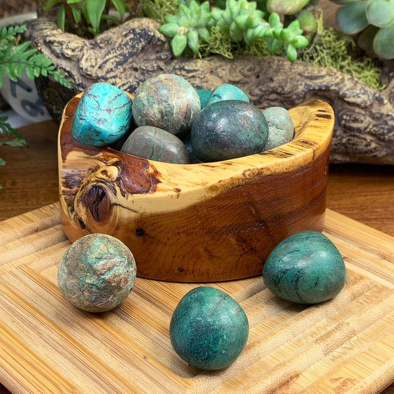 Tumbled Stone: Chrysocolla (250 Gram Lot - 0.55lb)