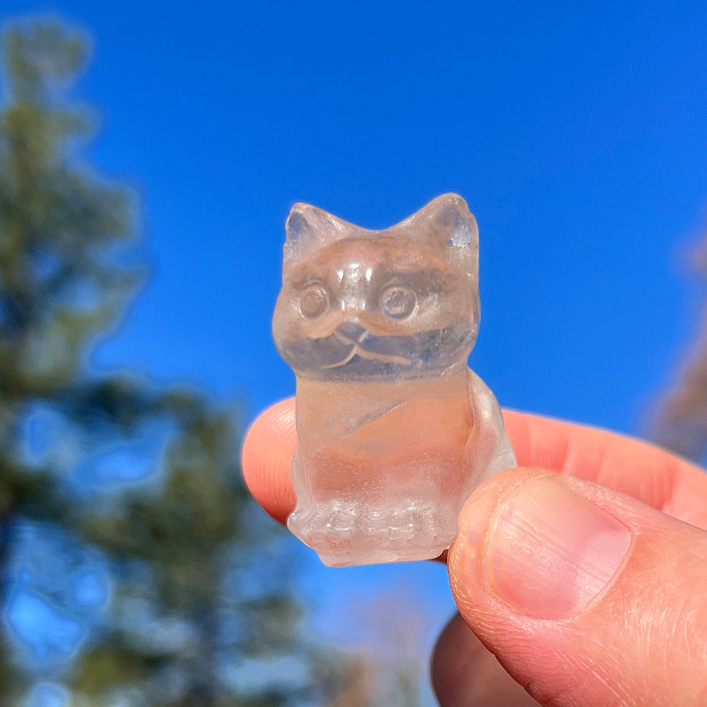 Crystal Spirit Totems: Cat Clear Quartz