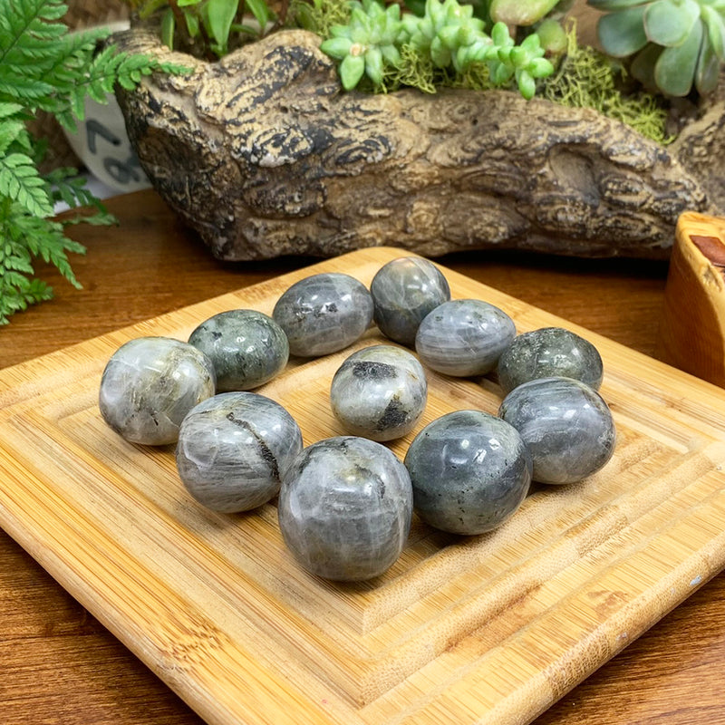 Tumbled Stone: Labradorite (250 Gram Lot - 0.55lb)