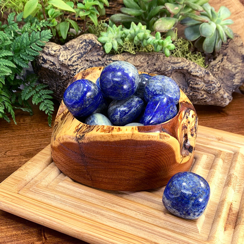 Tumbled Stone: Lapis Lazuli (250 Gram Lot - 0.55lb)