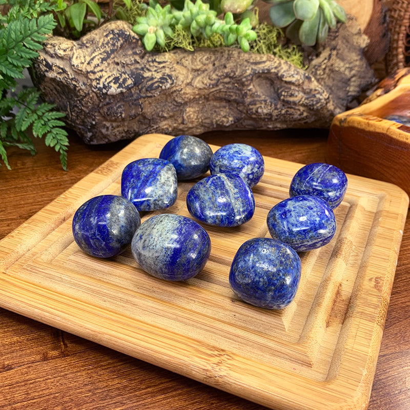 Tumbled Stone: Lapis Lazuli (250 Gram Lot - 0.55lb)