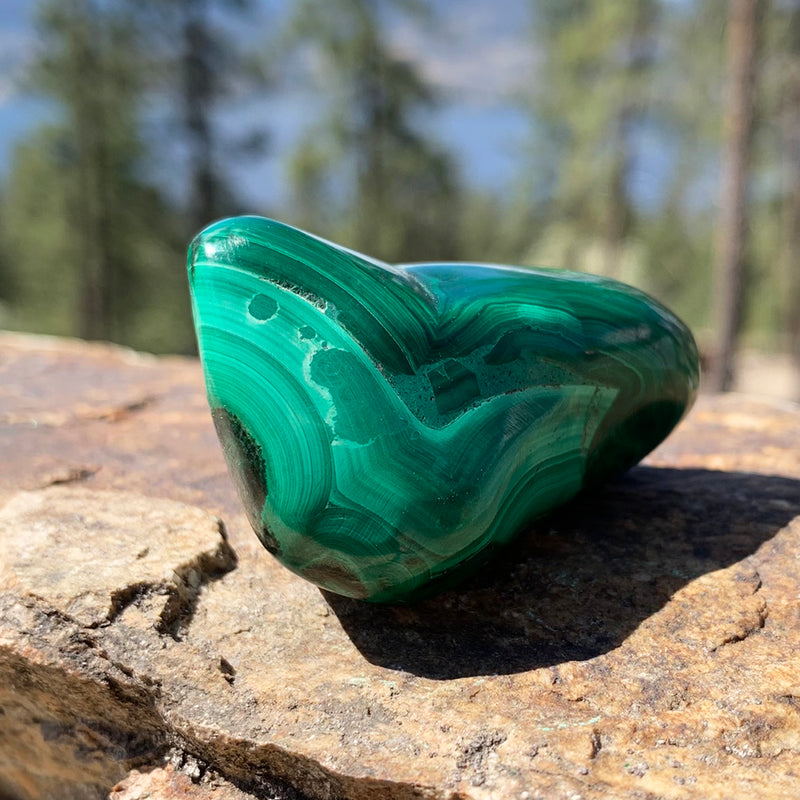 Tumbled Stone: Malachite (250 Gram Lot - 0.55lb)
