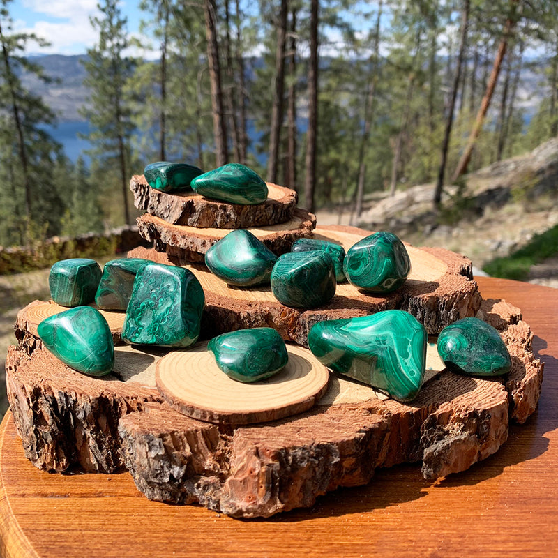 Tumbled Stone: Malachite (250 Gram Lot - 0.55lb)