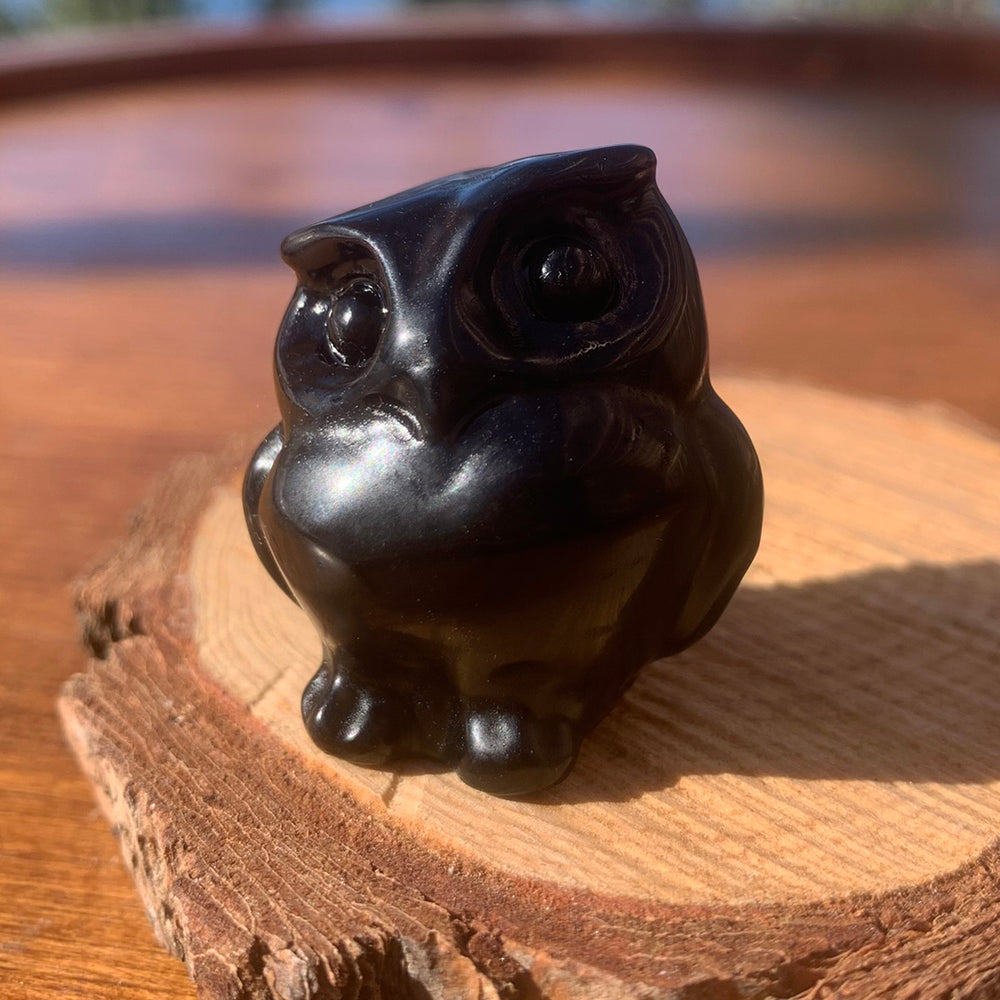 Crystal Animal Spirit Totems: Black Protection Agate Owl