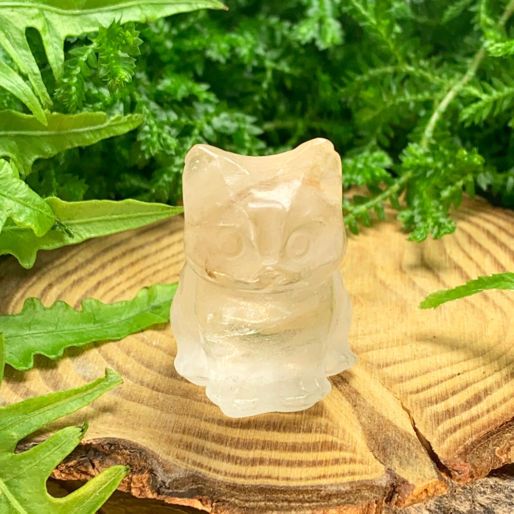Crystal Spirit Totems: Cat Clear Quartz