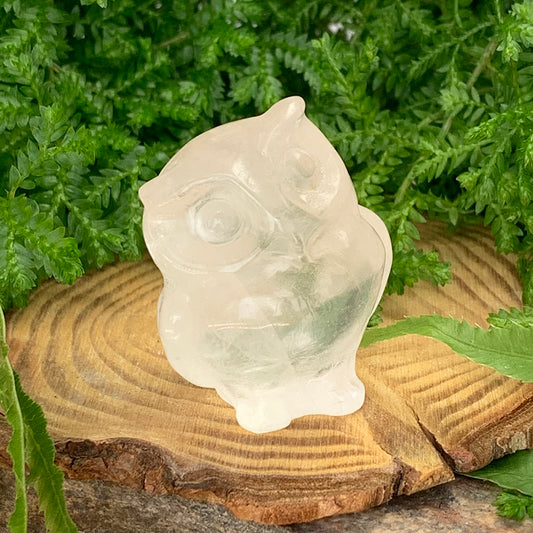 Crystal Animal Spirit Totems: Clear Quartz Owl