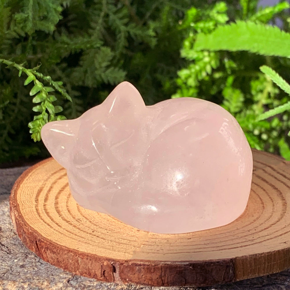 Crystal Spirit Totems: Sleeping Cat Rose Quartz