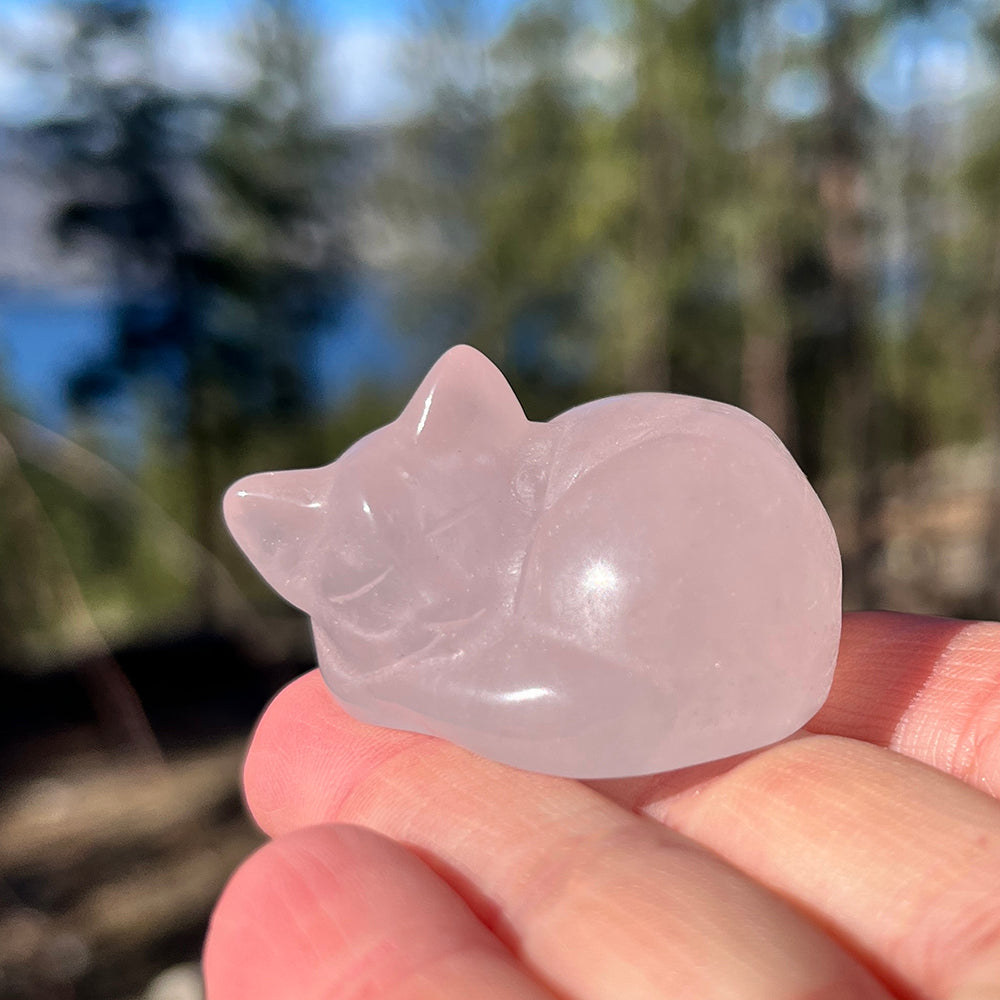 Crystal Spirit Totems: Sleeping Cat Rose Quartz