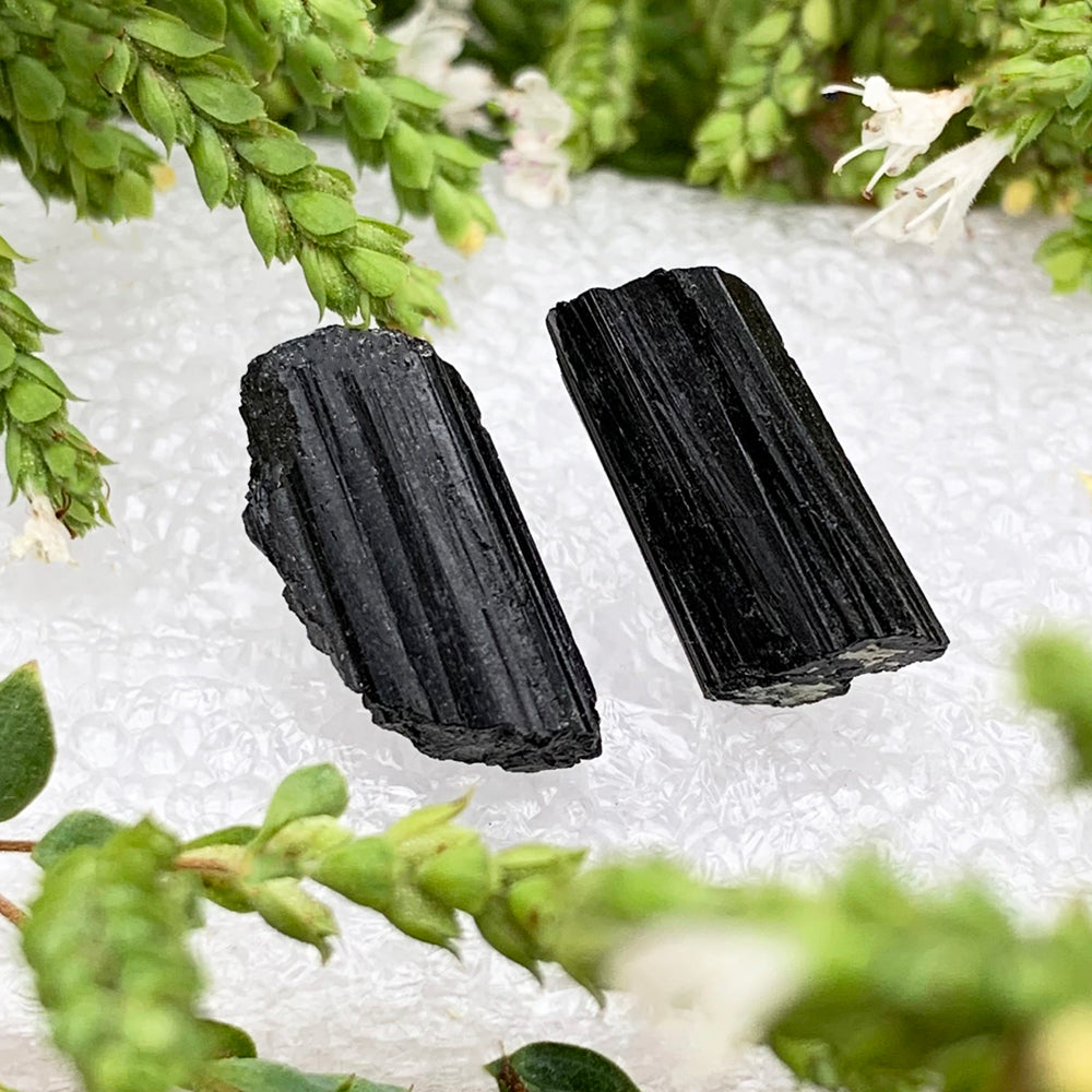 Rough Stud Earrings: Tourmaline