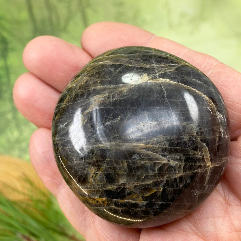 Palmstone: Black Moonstone