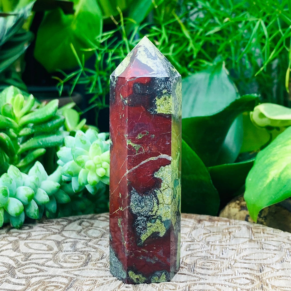 ZZZZ Nancy NEW Working on Dragonās Blood Point - wand