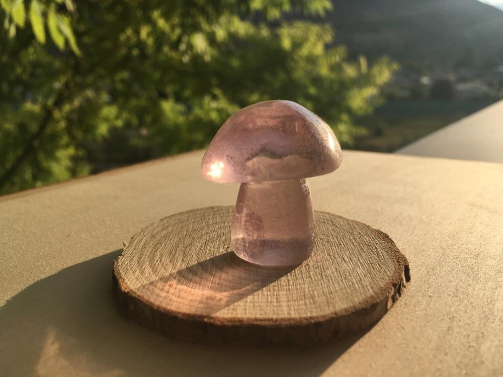 Purple Fluorite Mushroom