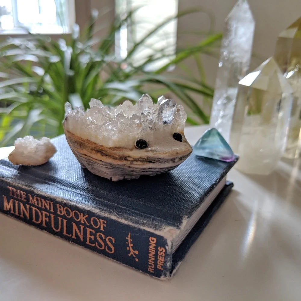 Crystal Hedgehog Pet (ADOPT ME PLEASE) 🥰 - carving