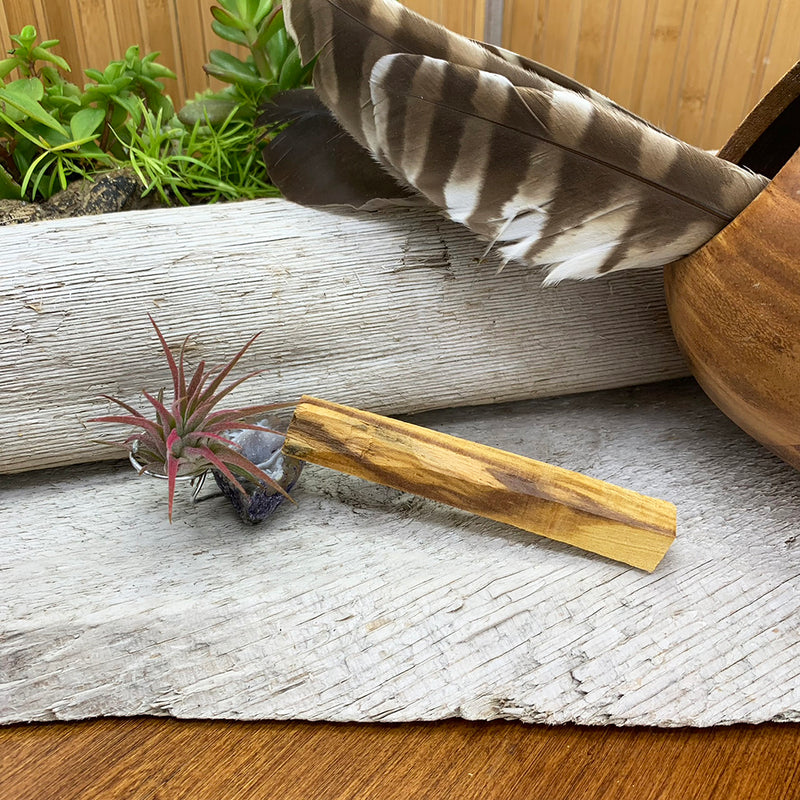 Smudge: 4" Palo Santo Stick