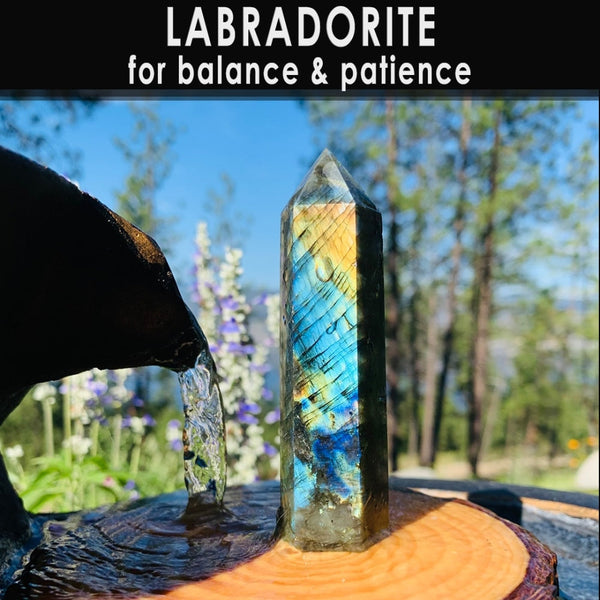 45-Piece Crystal Super Bundle Set