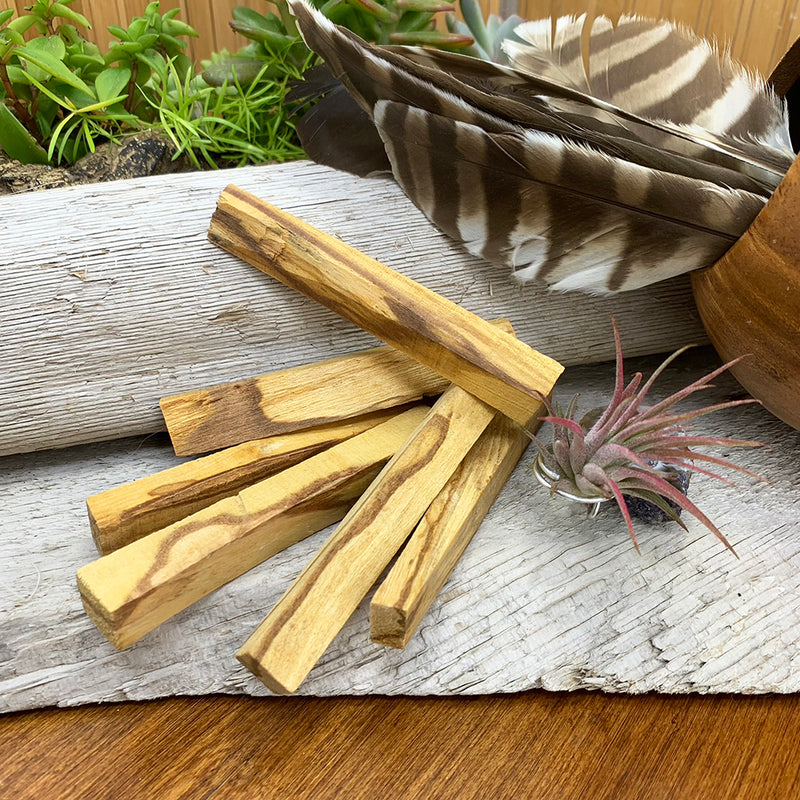 Smudge: 4" Palo Santo Stick