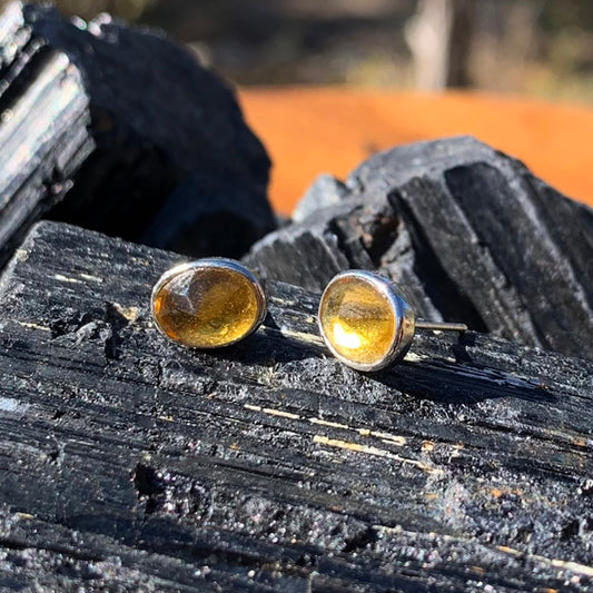 Polished Stud Earrings: Amber