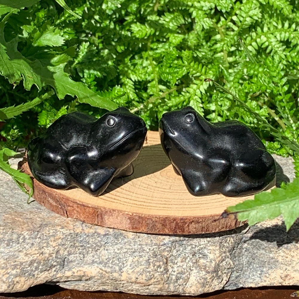 Crystal Animal Spirit Totems: Black Protection Agate Frog