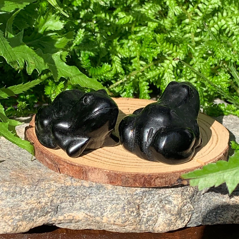 Crystal Animal Spirit Totems: Black Protection Agate Frog