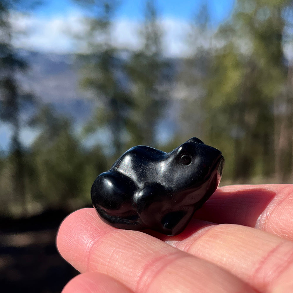 Crystal Animal Spirit Totems: Black Protection Agate Frog