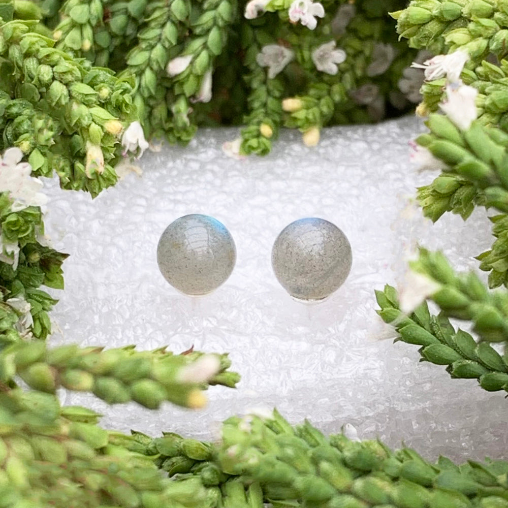 Earrings: Labradorite Studs