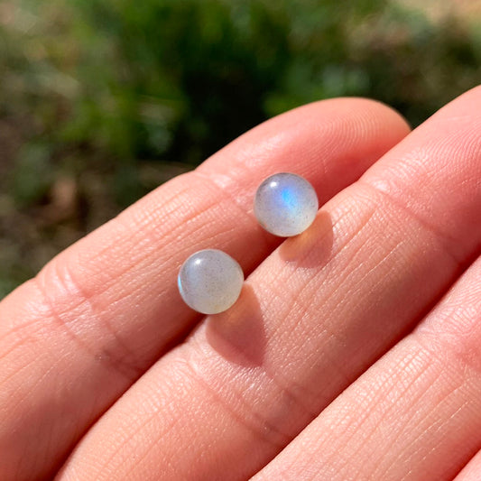 Round Stud Earrings: Labradorite