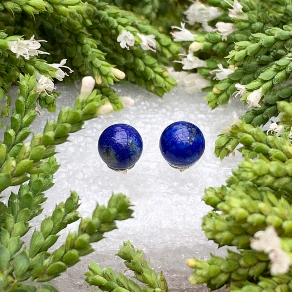 Earrings: Lapis Lazuli Studs