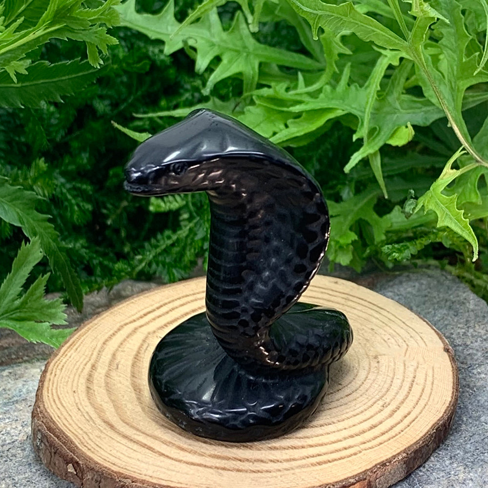 Crystal Animal Spirit Totems: Black Protection Agate Cobra