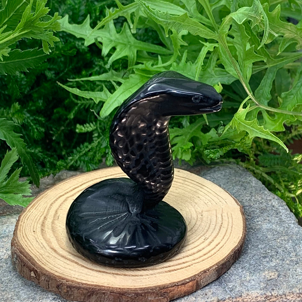 Crystal Animal Spirit Totems: Black Protection Agate Cobra