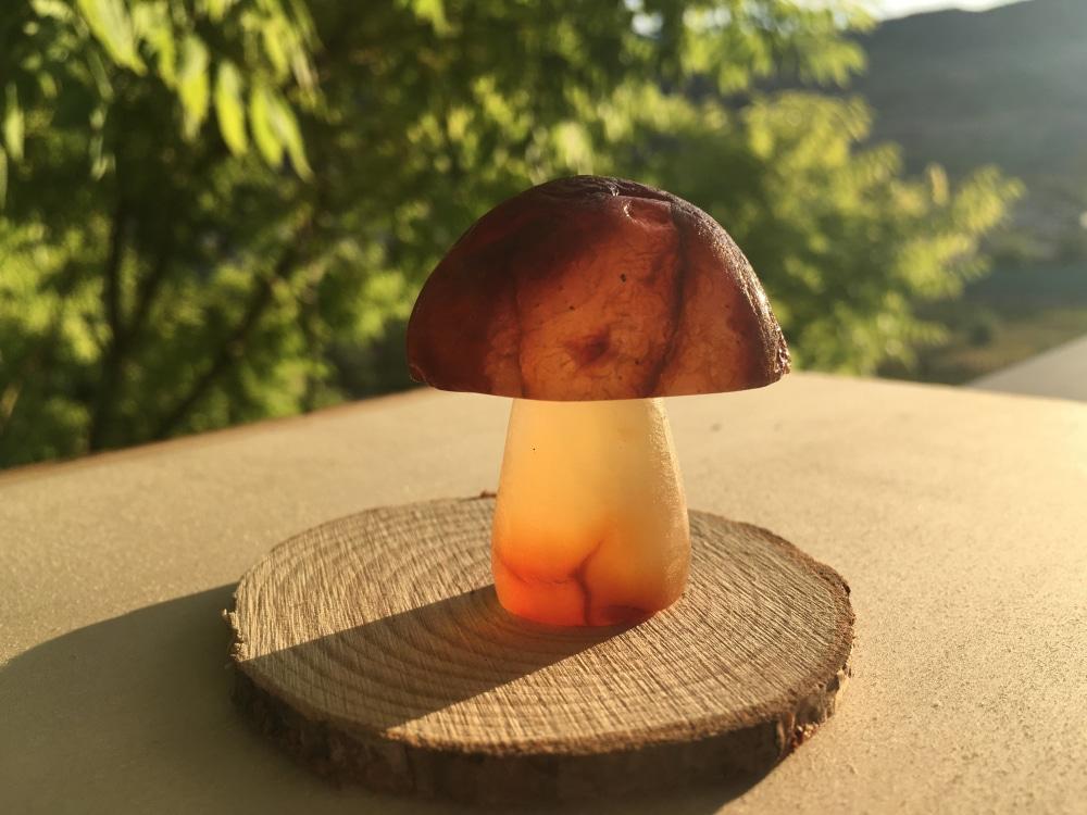 Carnelian Mushroom