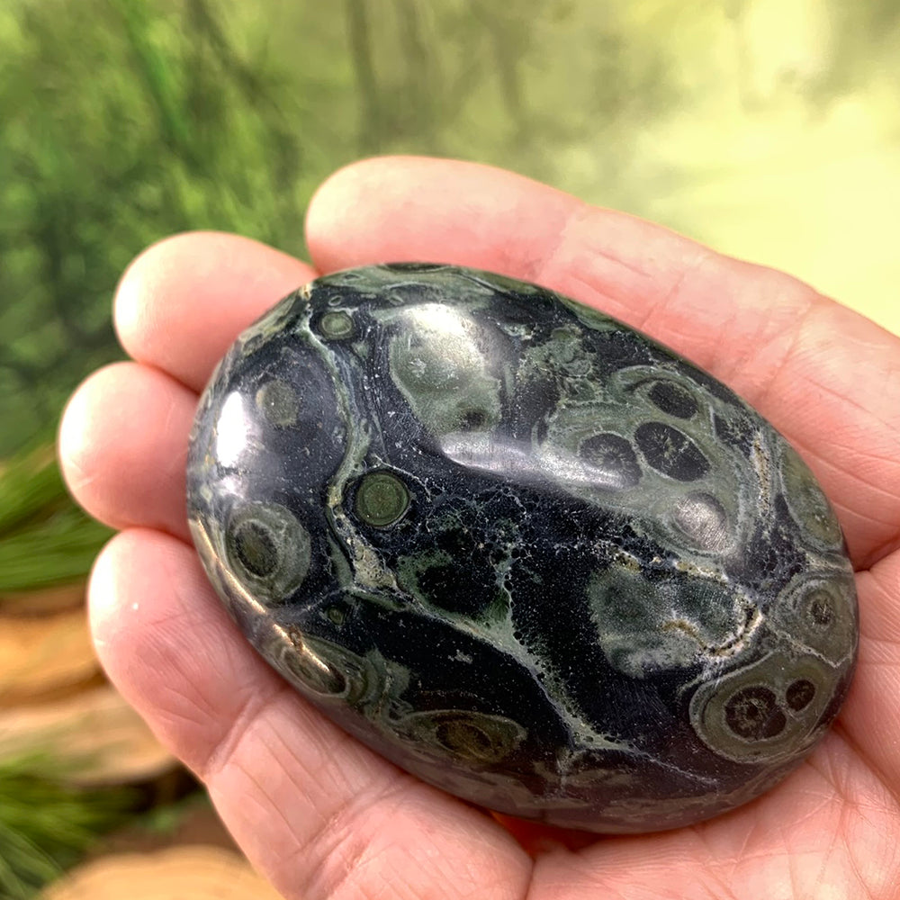 Palmstone: Kambaba Jasper